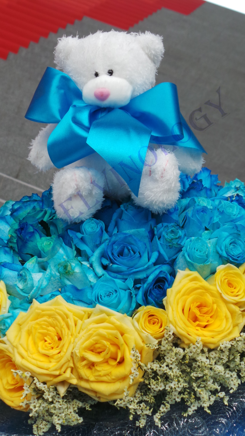 Photo 17-4-16, 5 13 11 PM